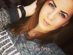 TinyTess