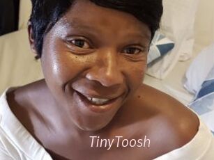 TinyToosh