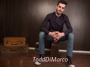 ToddDiMarco