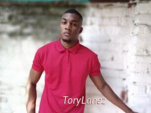 ToryLanez