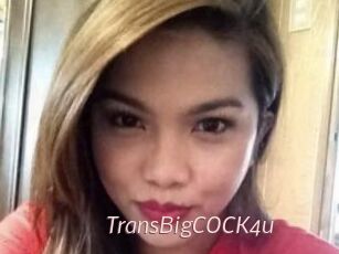 TransBigCOCK4u