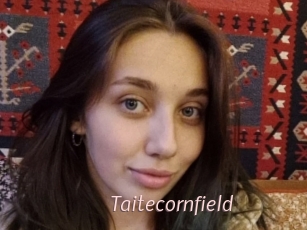 Taitecornfield