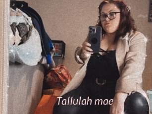 Tallulah_mae