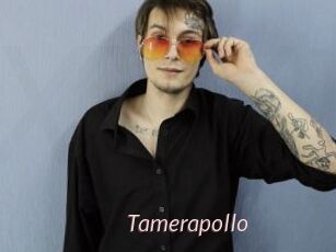 Tamerapollo