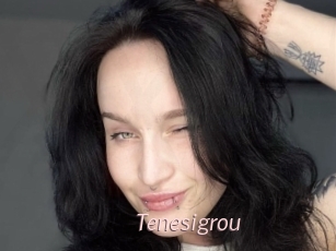 Tenesigrou