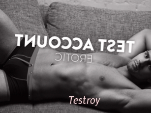 Testroy