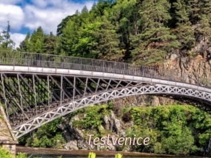Testvenice