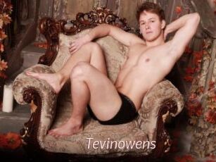 Tevinowens