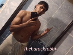 Thebarackrabbit