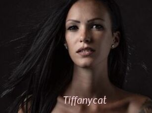 Tiffanycat