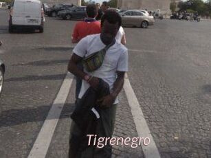 Tigrenegro