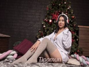 Tinamun