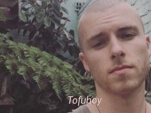 Tofu_boy