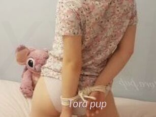 Tora_pup