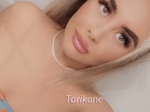 Torikane