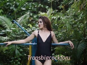 Transbigcockforu