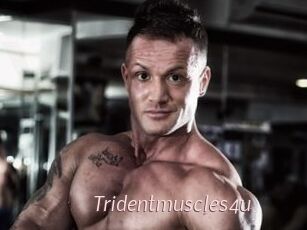 Tridentmuscles4u