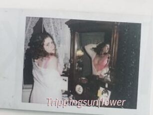 Trippingsunflower