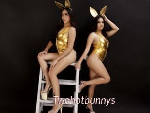 Twohotbunnys