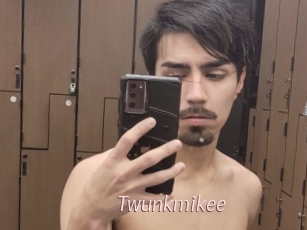 Twunkmikee