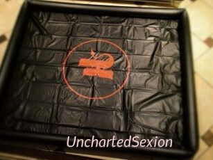 UnchartedSexion