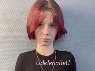 Udelehallett