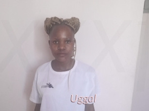 Uggal