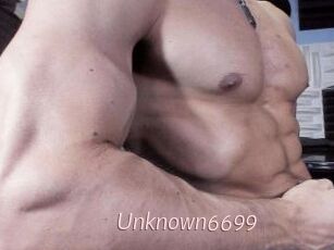 Unknown6699