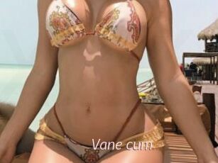 Vane_cum