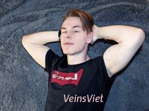 VeinsViet