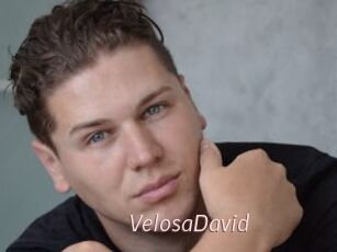 VelosaDavid