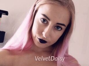 VelvetDaisy