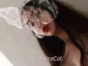 VeniceCat