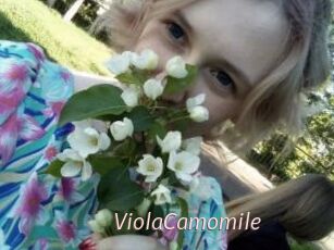 ViolaCamomile