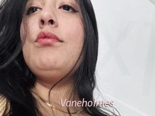 Vaneholmes