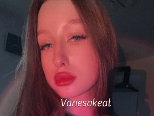 Vanesakeat