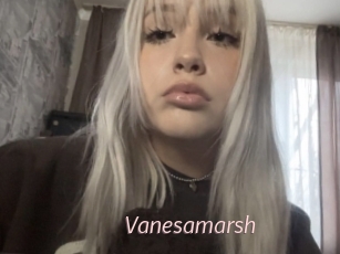 Vanesamarsh