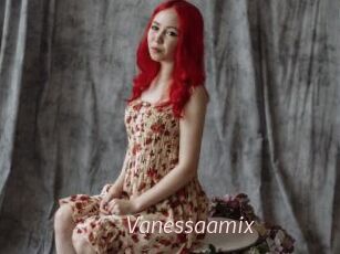 Vanessaamix