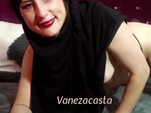 Vanezacasta