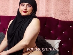 Vanezagrante