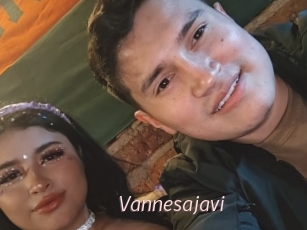 Vannesajavi
