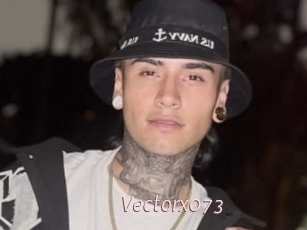 Vectorx073