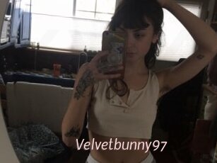 Velvetbunny97