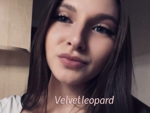 Velvetleopard