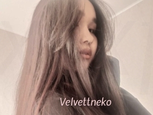 Velvettneko