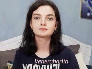 Veneraharlin