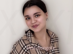 Vestatongate
