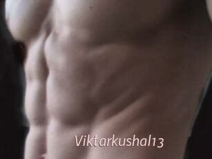 Viktarkushal13