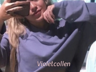 Violetcollen