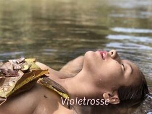Violetrosse